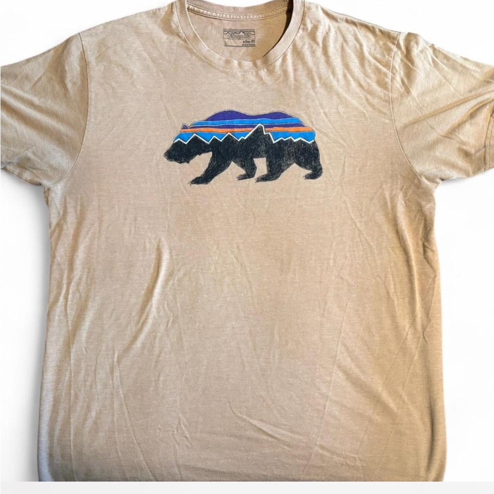 Patagonia  Graphic T-Shirt